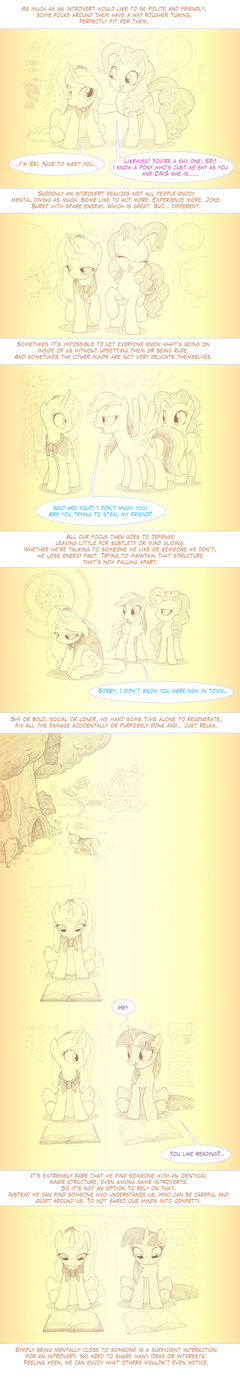 A Filly's Guide to Introversion 2