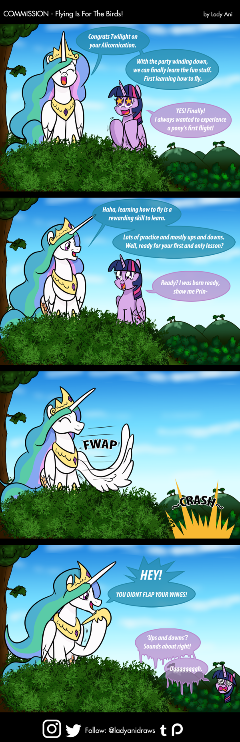 COM - Flying Is For The Birds (COMIC)