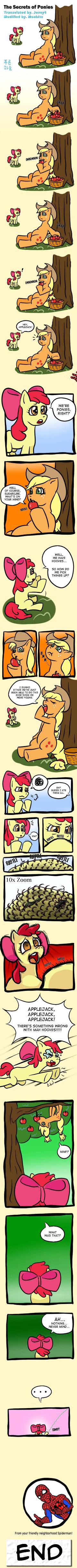 The Secrets of Ponies translated ver.