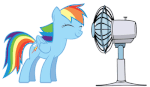 Dashie and a fan