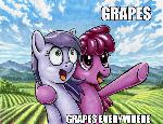 Grapes, Grapes Everywhere