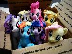 Ponies for good home