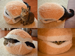 Behold the Cat Burger