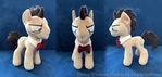Doc Whooves Plushie