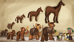 Evolution of horses and ponies