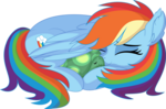 Rainbow Dash and Tank Vector - Sleeping