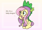 Fluttershy the baby dragon
