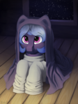 Pony in a Blanket