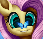 Fluttershy and a Butterfly