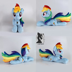 Rainbow Dash is looking for a loving home!