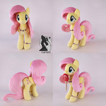 Fluttershy is looking for a home!