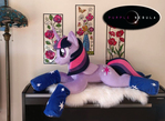 Midnight Sparkle Socks for a unforgettable pony...