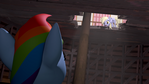You okay, Rainbow Dash?