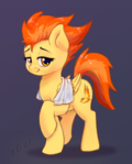 pony Spitfire with the towel on her back