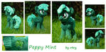 Peppy Mint