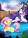 Holiday with Rarity and Fluttershy !