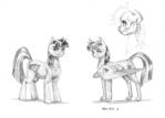 Two style of ponies