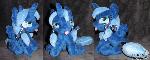 Filly Luna (Woona) for sale