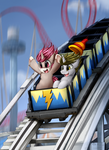 Comm: Roller Coaster Ride