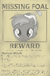 Missing Foal Report - Button Mash