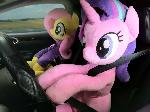 Starlight Glimmer and Fluttershy in the car
