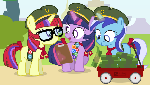 Cookie Scout Fillies