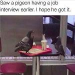 Un entretien d'embauche