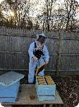 Fils d'apiculteur