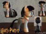 For My Nephew, Harry Potter Pony