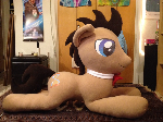 Doctor Whooves!