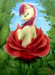 Pony blossom