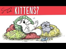 9 Things You Need To Know About Kittens - Simon's Cat | 101