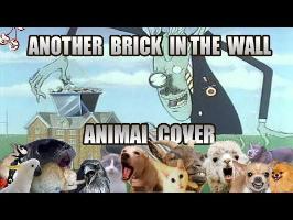 Pink Floyd - Another Brick In The Wall pt.2 (Animal cover) [only_animal_sounds]