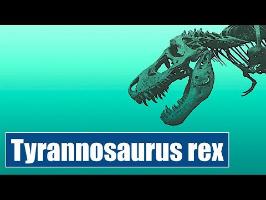 le Tyrannosaure: prédateur ou charognard ? - IRL