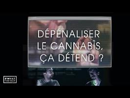 Dépénaliser le cannabis, ça détend ? - What The Fact ?
