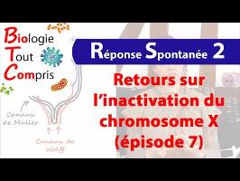 [BioTCom-RS] 02 : retours sur l'inactivation du chromosome X