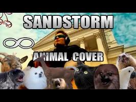 Darude - Sandstorm (Animal Cover)
