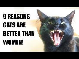 9 Reasons Cats Are Better Than Women!