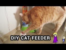DIY ARDUINO CAT FEEDER – cat pushes the button to get food