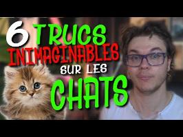 CHRIS : 6 Trucs Inimaginables Sur Les Chats