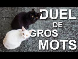 DUEL DE GROS MOTS - PAROLE DE CHAT