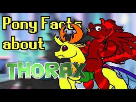 Pony Facts about Thorax