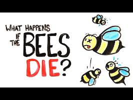 What Happens If All The Bees Die?