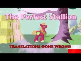 The Perfect Stallion - Translations gone wrong