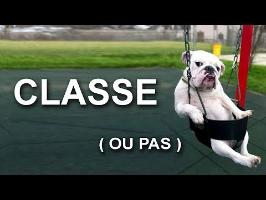 CLASSE PAS CLASSE - PAROLE DE CHAT