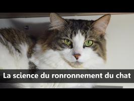La science du ronronnement du chat - Scilabus 26