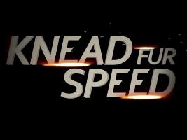 Need for Speed Trailer - Cats Driving RC Cars