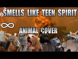 Nirvana - Smells Like Teen Spirit (Animal Cover)