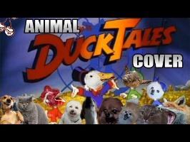Duck Tales (Animal Cover)