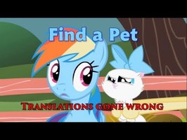 Find a Pet - Translations gone wrong